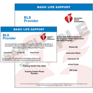 Basic Life Support